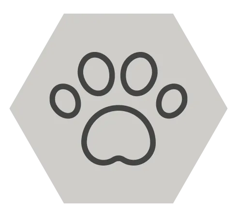 a paw print icon in a hexagon on a white background .