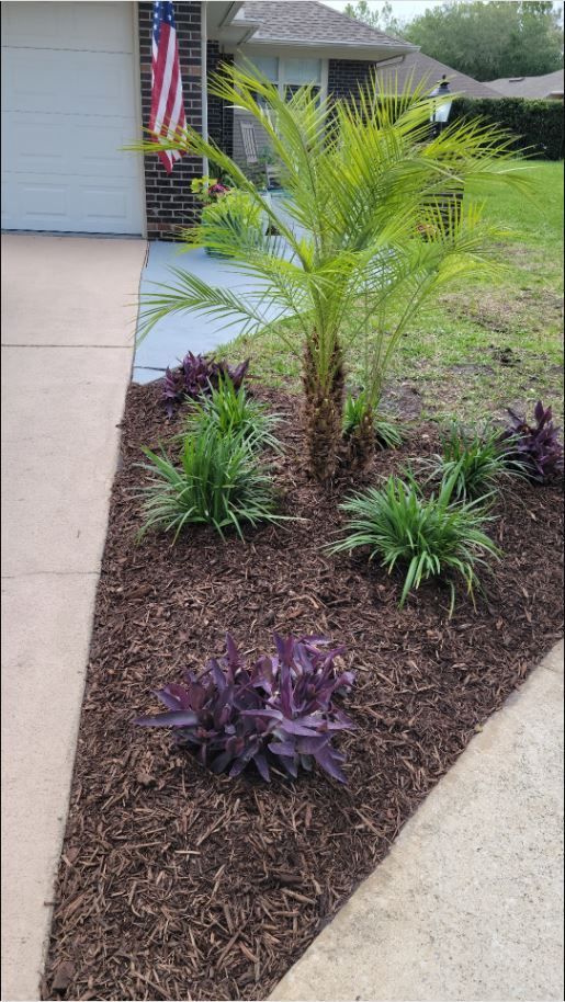 There is a palm tree in the middle of the garden.