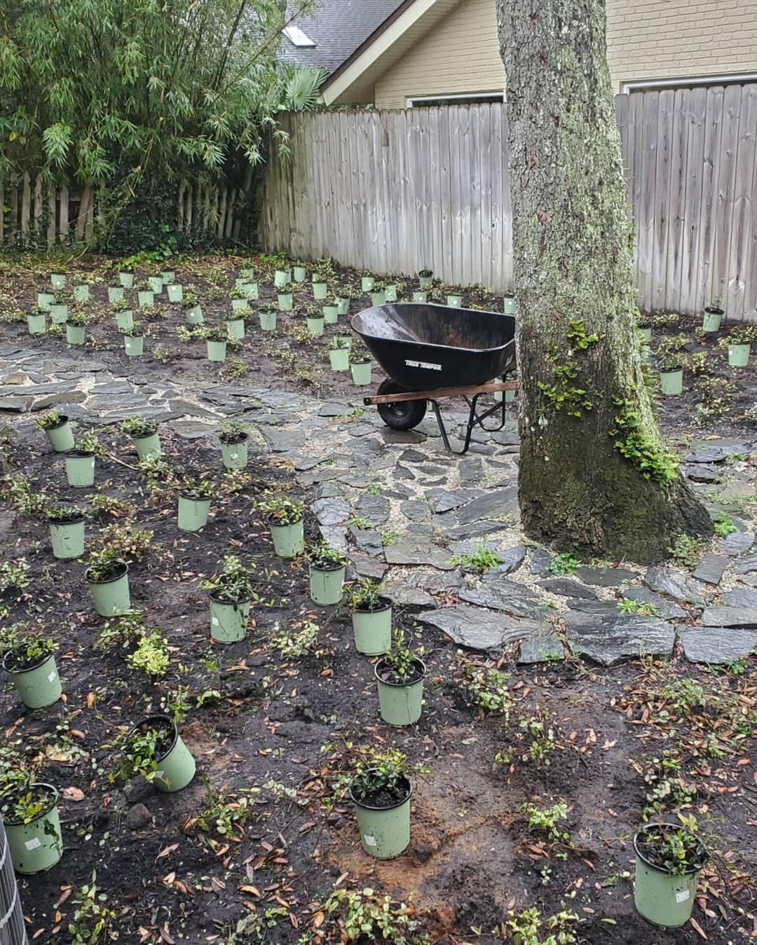 A wheelbarrow is sitting in the middle of a garden filled with potted plants.