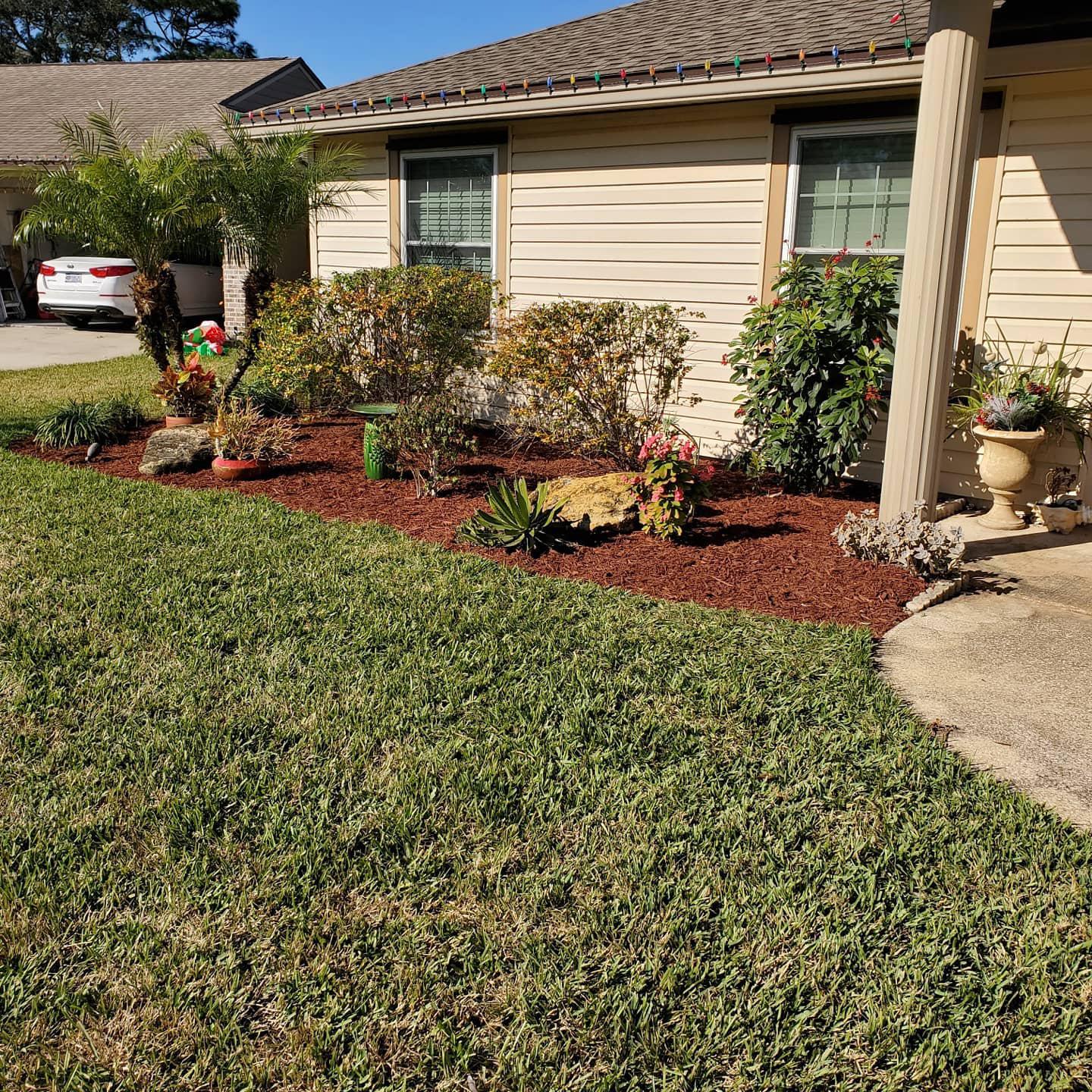 A house with a lot of plants in front of it