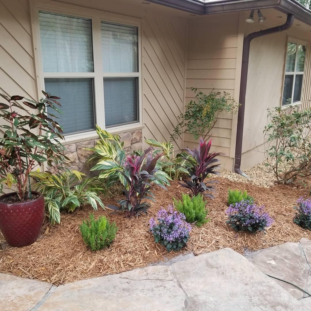 A house with a lot of plants in front of it