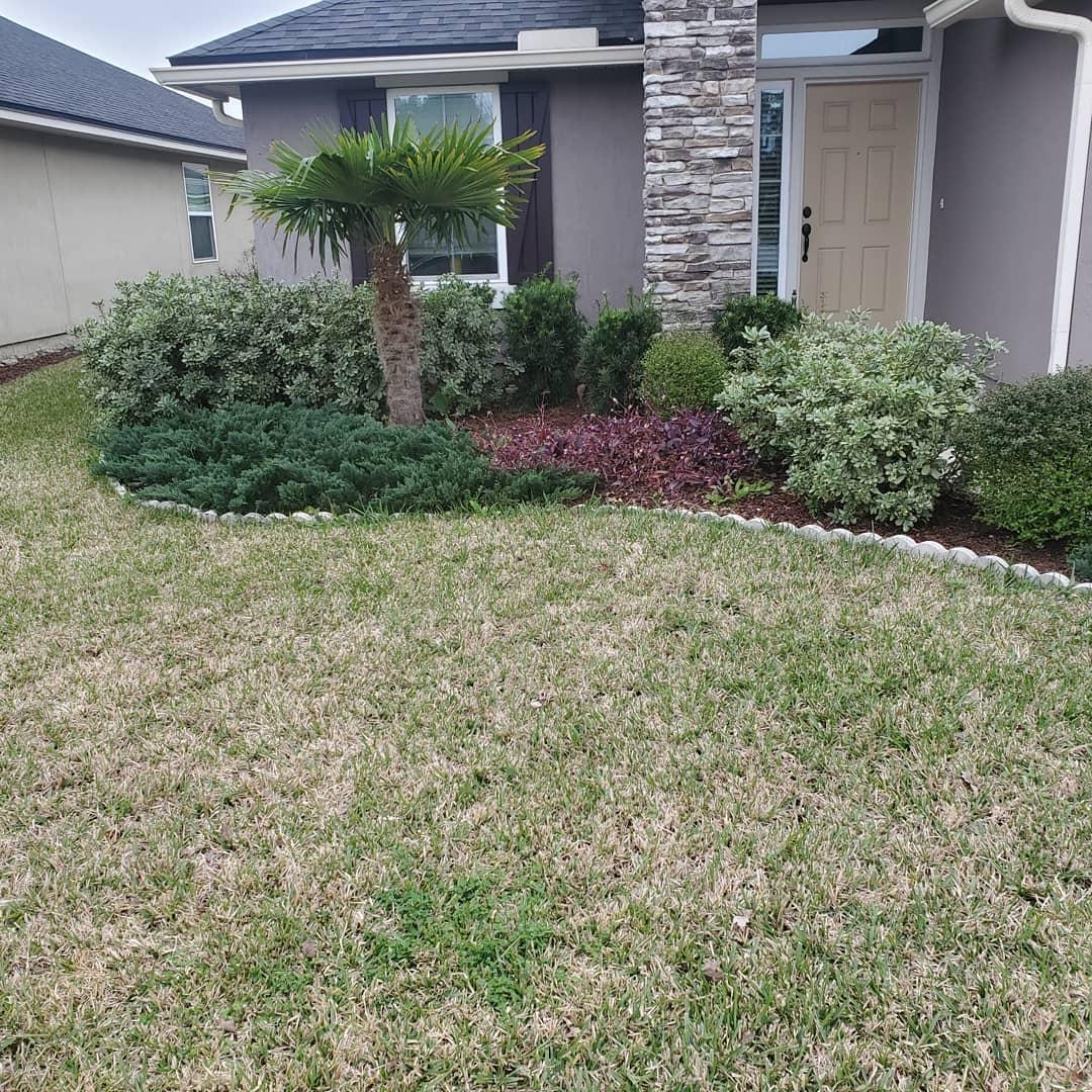 A lush green lawn in front of a house with a palm tree.