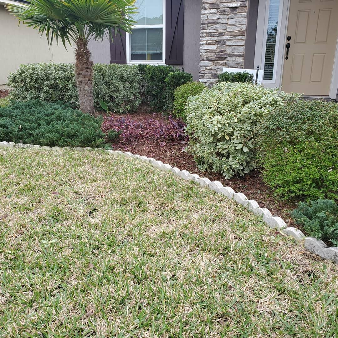 A lush green lawn with a palm tree in front of a house.