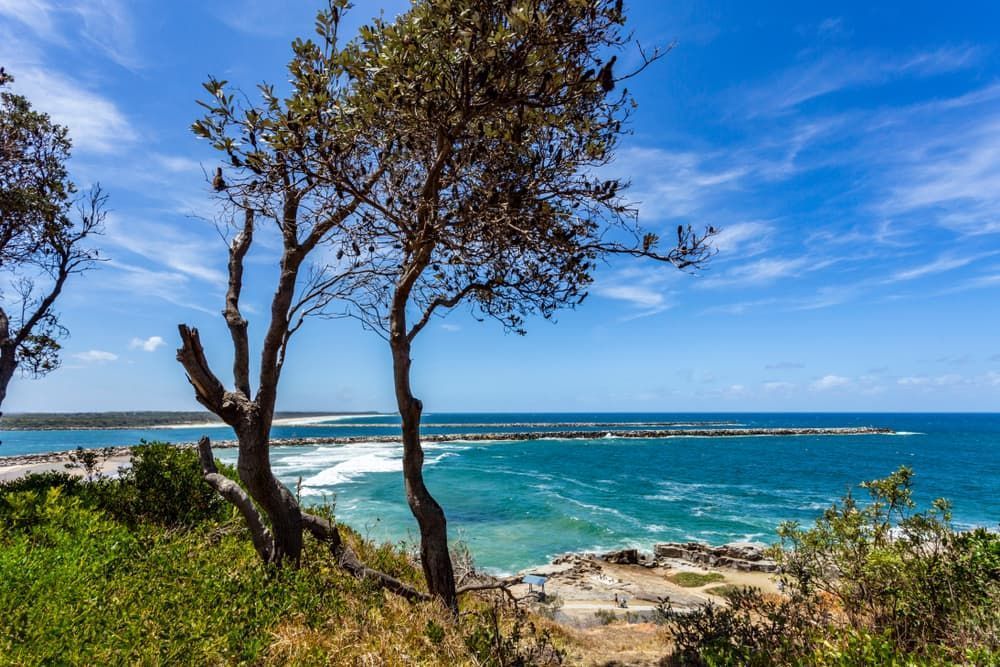 A View of The Ocean from A Cliff with Trees in The Foreground — Lifestyle Demolition In Yamba, NSW