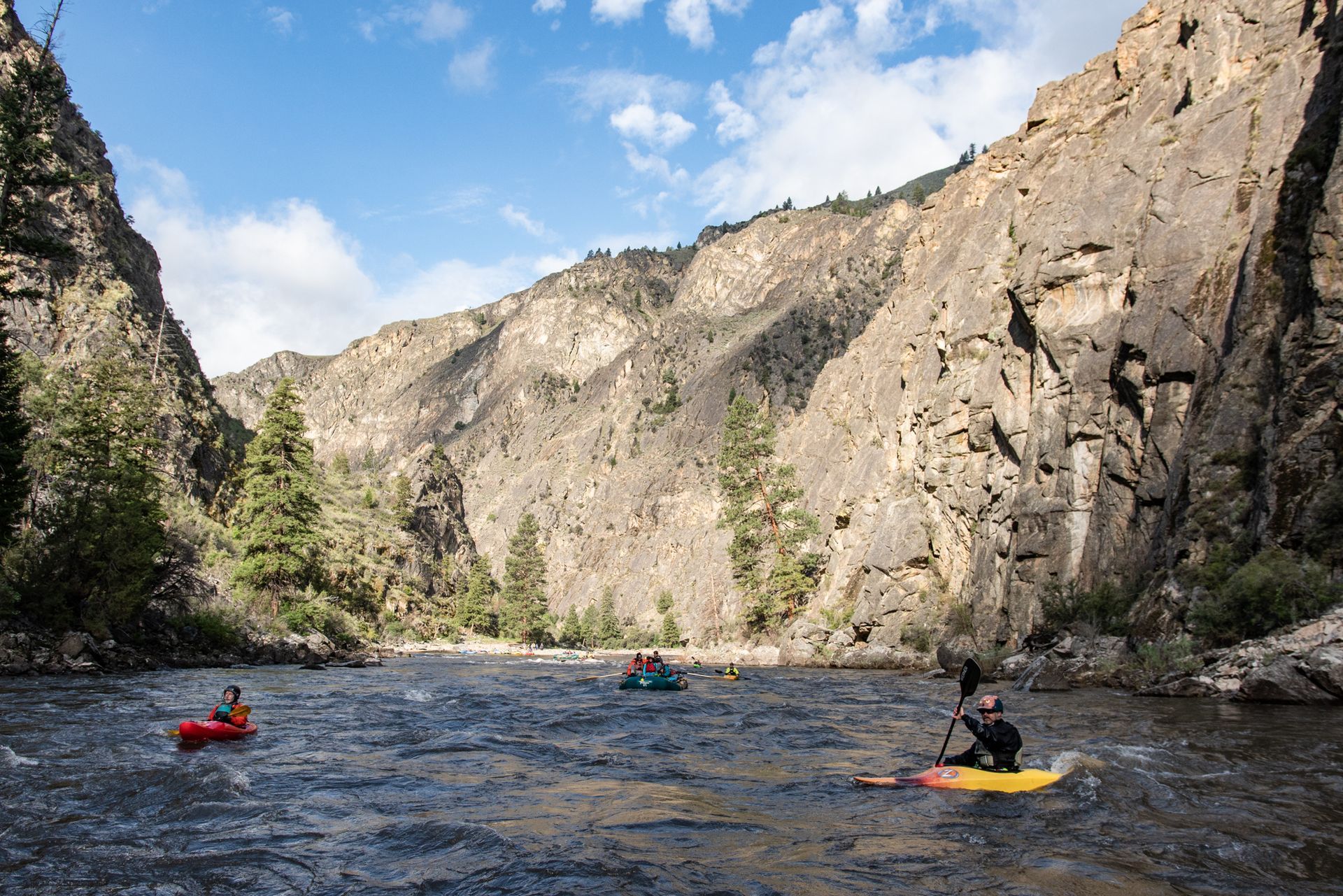 A group of people are rowing kayaks down a river.