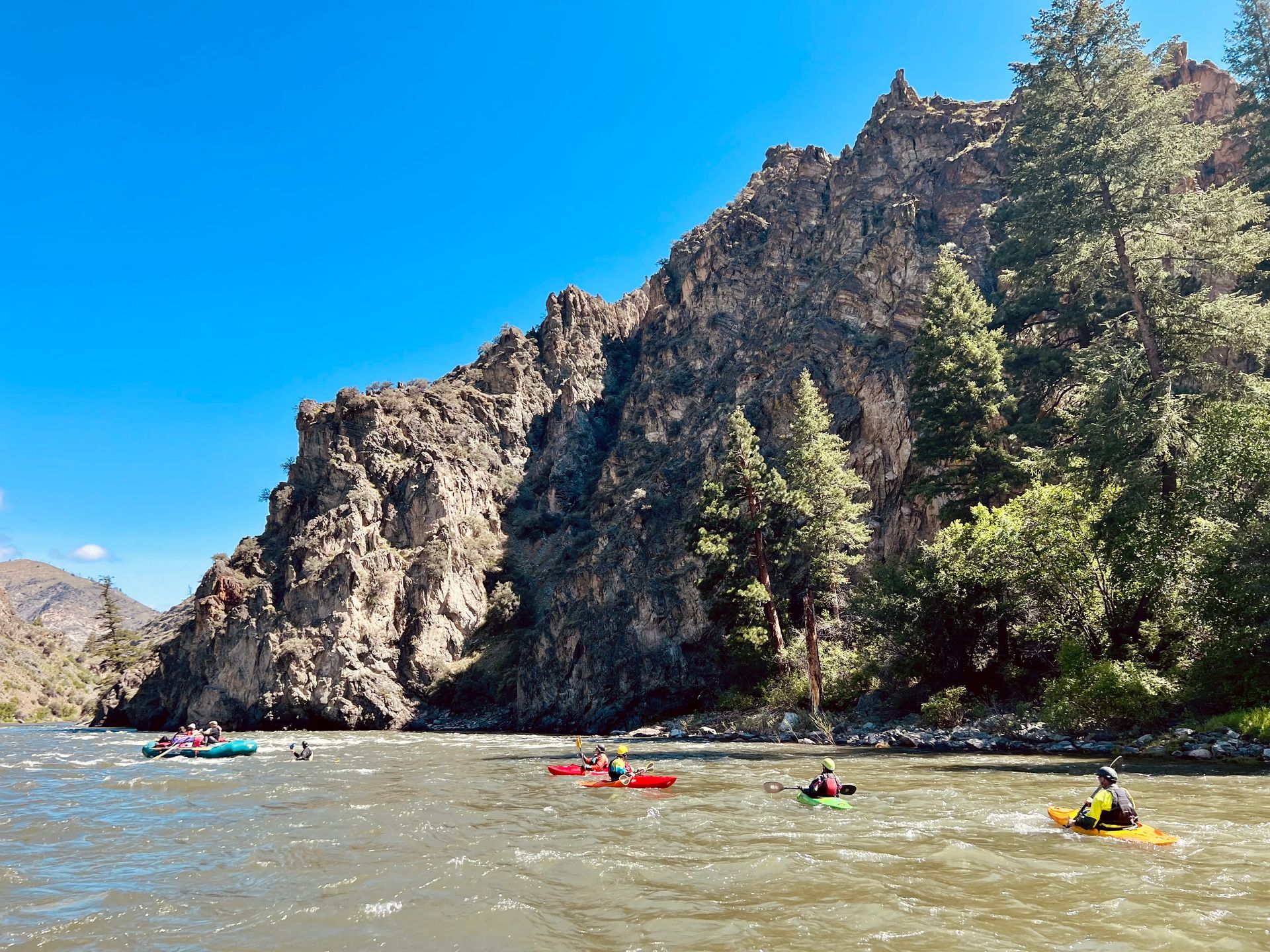 A group of people are rowing kayaks down a river.
