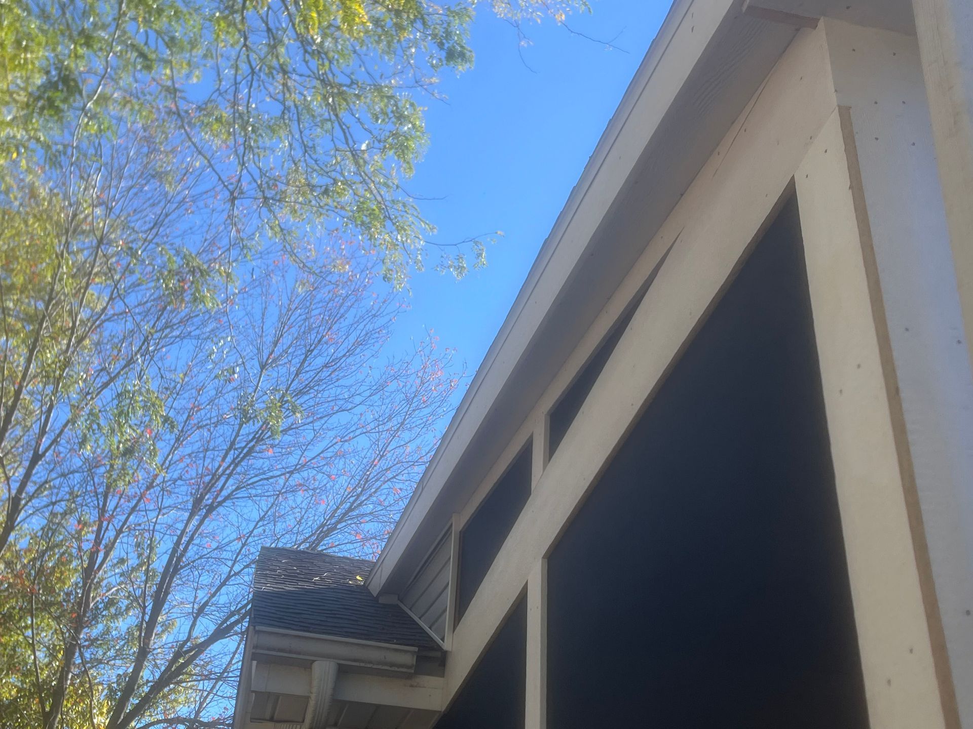 Low-angle view of a building's roofline and side against a blue sky, with tree branches in the background.