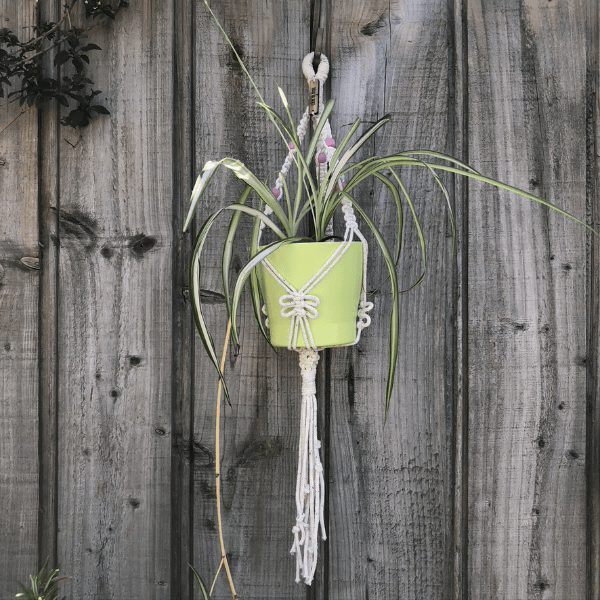 Macrame Pot Holder - Penelope