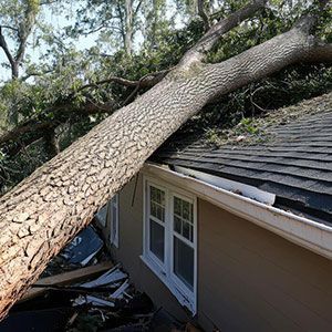 Hurricane Damage Roof Repair