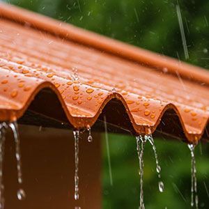 Roof Leak Detection