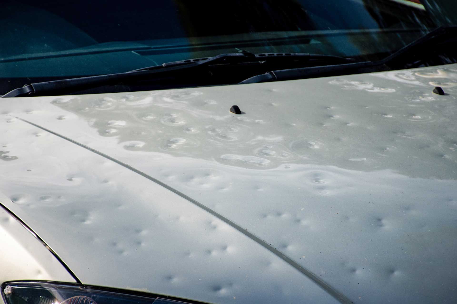 The hood of a white car with hail damage on it.