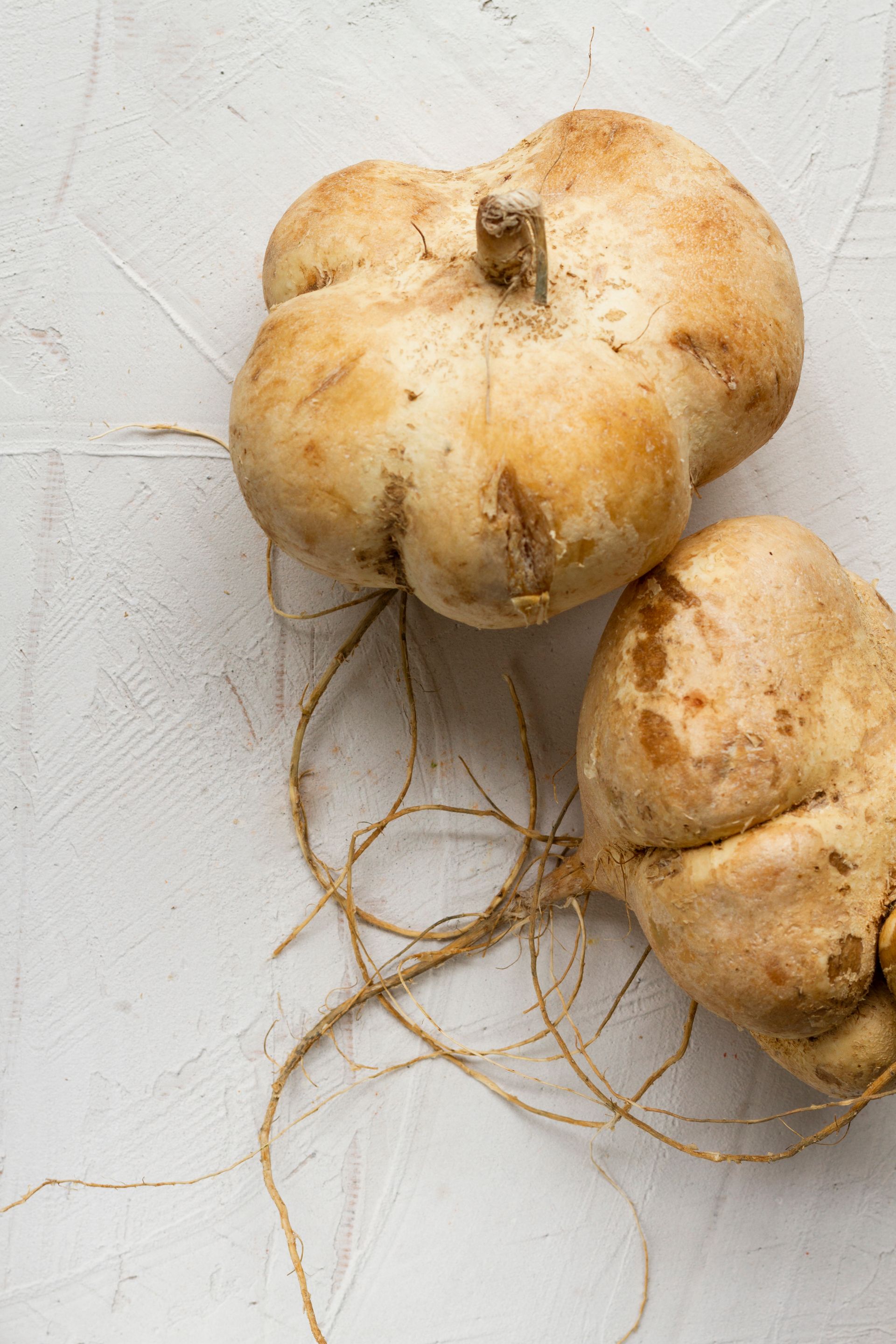 Two jicama root vegetables with brown skin and thin roots on a white surface.