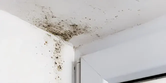 A wall and ceiling showing signs of mold