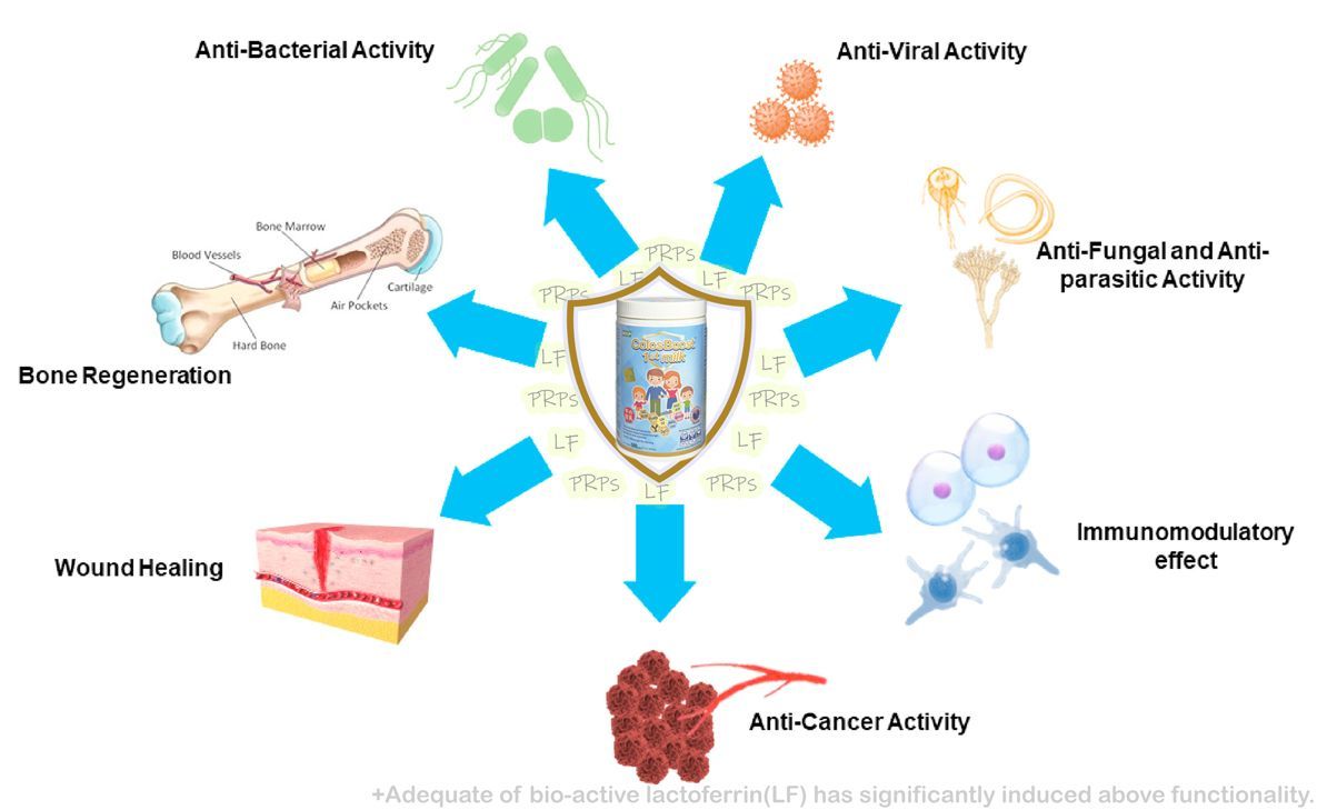 New Zealand colostrum milk powder