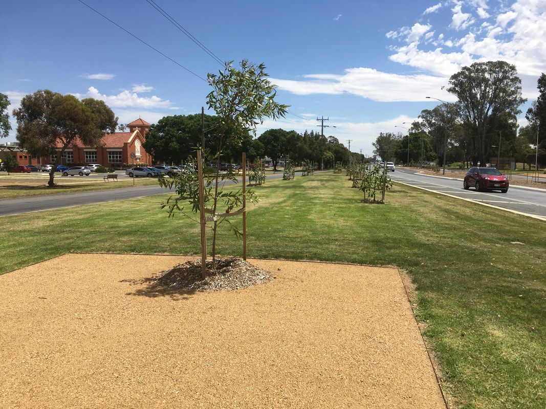 Thomson Hay Landscape Architects - McLennan Street Mooroopna