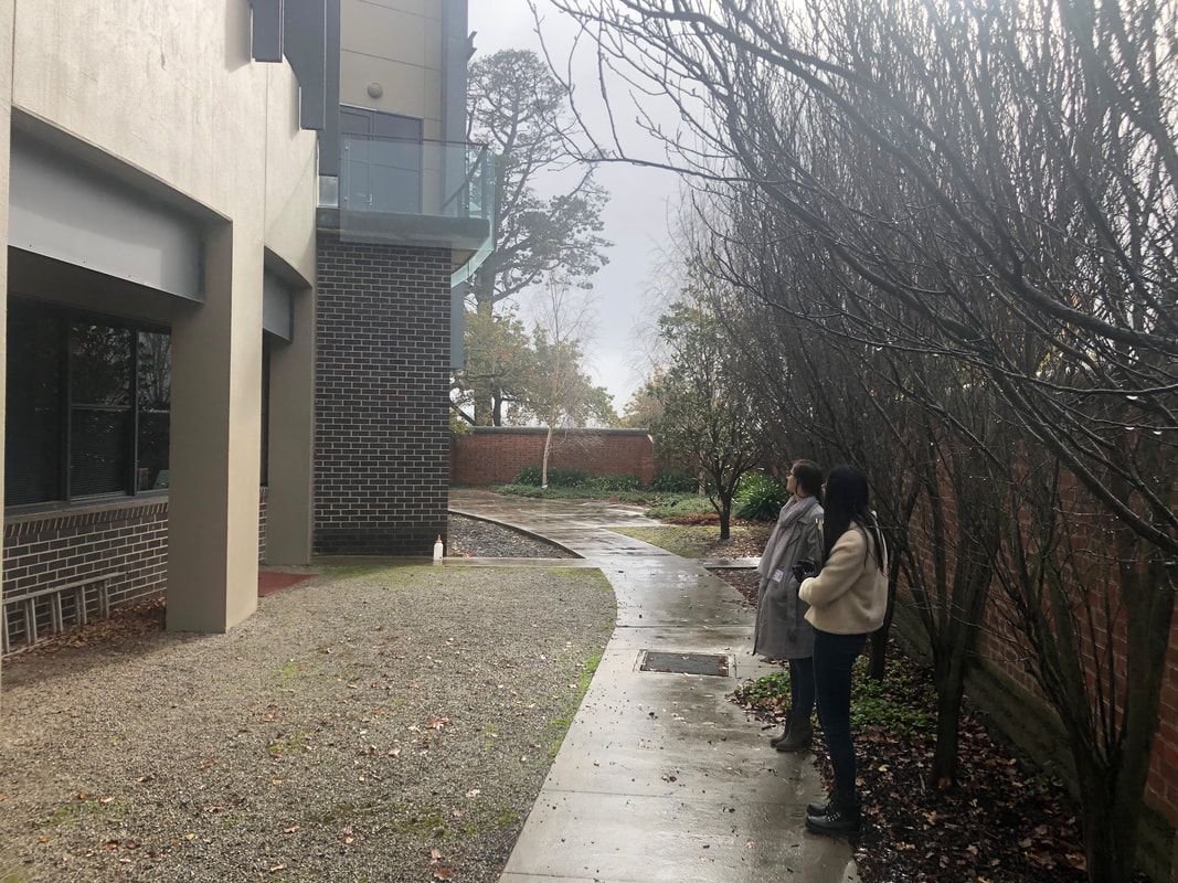 Thomson Hay Landscape Architects - Loreto Sensory Garden