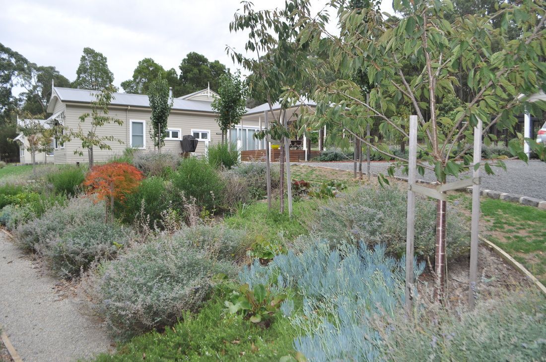 Thomson Hay Landscape Architects - Gordon Lifestyle Garden