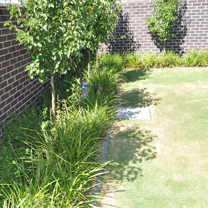 Thomson Hay Landscape Architects - Invermay Garden