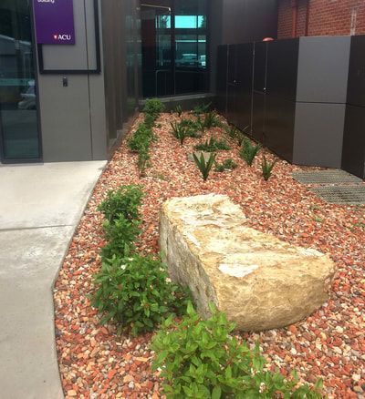 Thomson Hay Landscape Architects - ACU Ballarat Physiotherapy Building