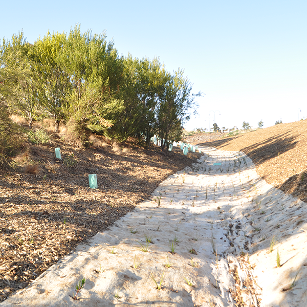 Thomson Hay Landscape Architects - Stonehill Estate