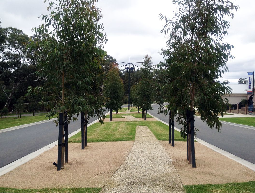 Thomson Hay Landscape Architects - Imagine Estate Strathfieldsaye