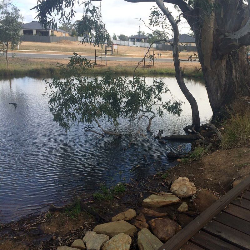 Thomson Hay Landscape Architects - Imagine Estate Strathfieldsaye