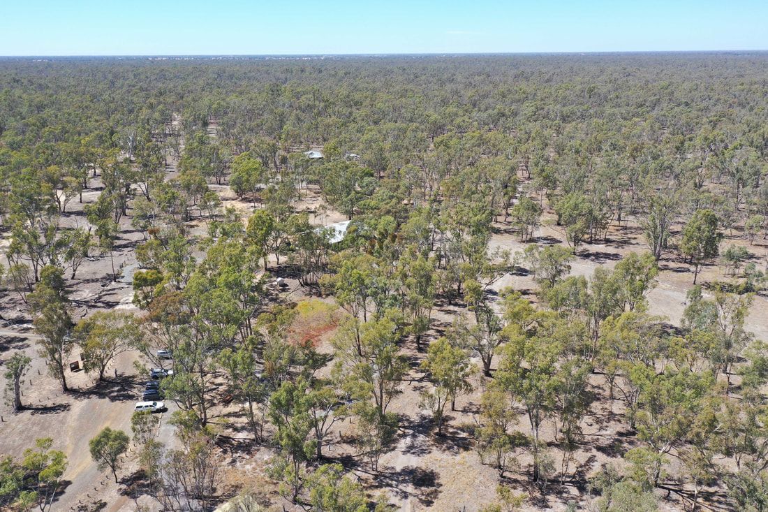 Thomson Hay Landscape Architects - Dharnya Centre Masterplan ​- Barmah National Park