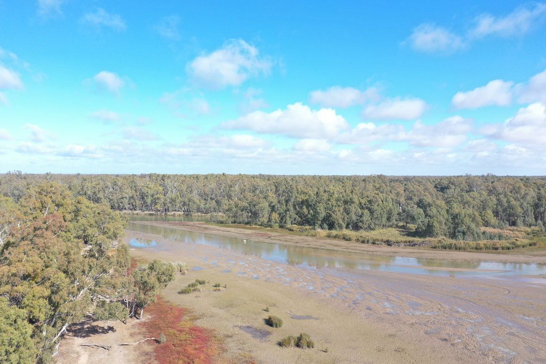 Dharnya Trails Masterplan ​- Barmah National Park