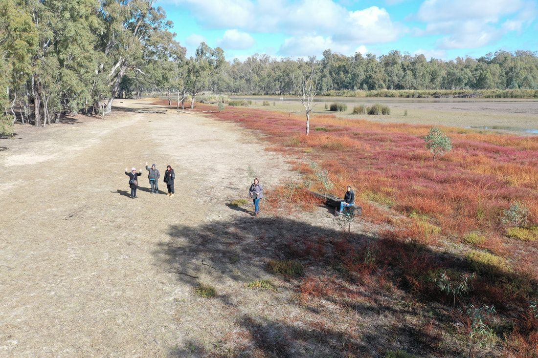 Thomson Hay Landscape Architects - Dharnya Trails Masterplan ​- Barmah National Park