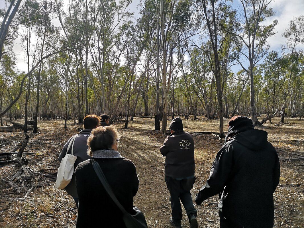 Thomson Hay Landscape Architects - Dharnya Trails Masterplan ​- Barmah National Park