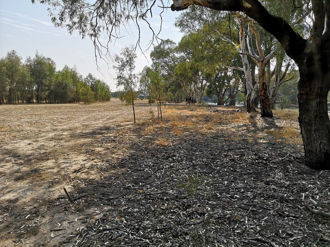 Thomson Hay Landscape Architects - Murray Downs Nature Reserve