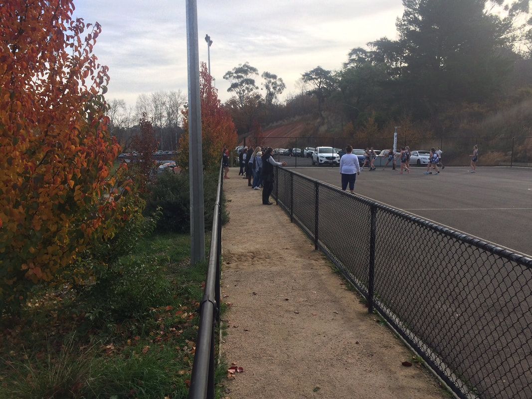 Thomson Hay Landscape Architects - Clunes Netball Facility