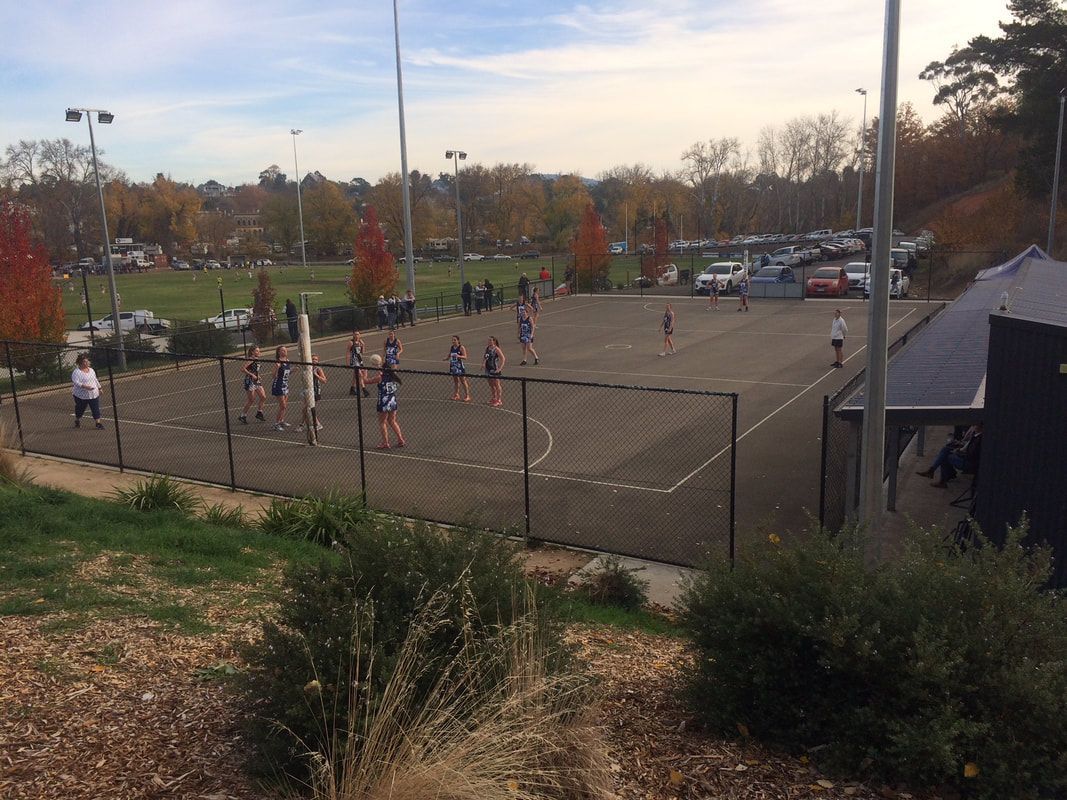 Thomson Hay Landscape Architects - Clunes Netball Facility