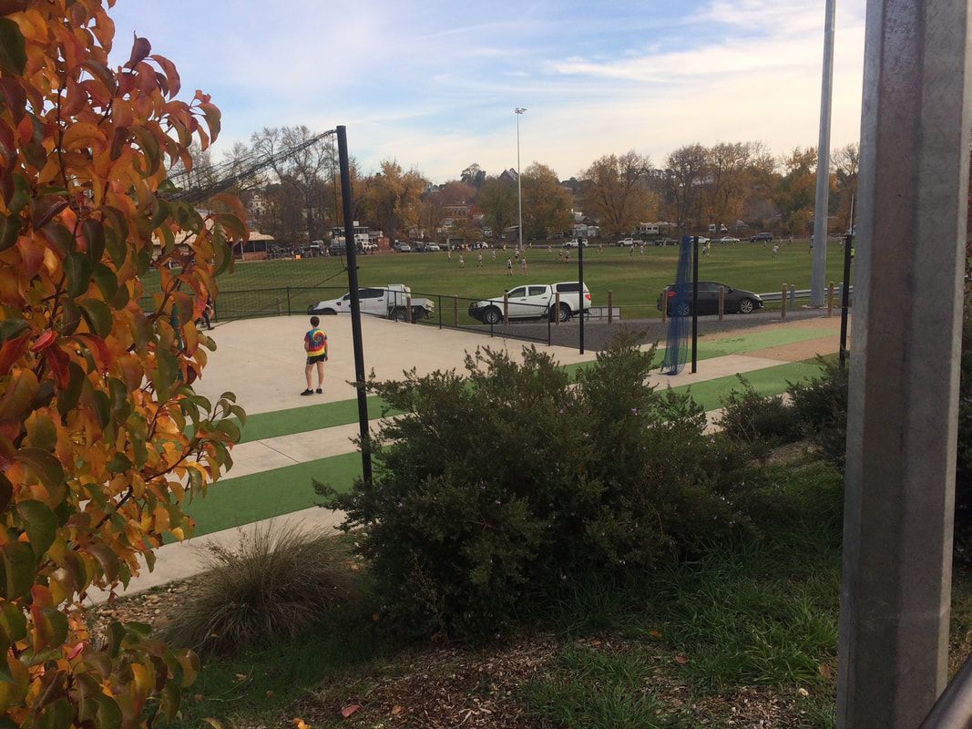 Thomson Hay Landscape Architects - Clunes Netball Facility