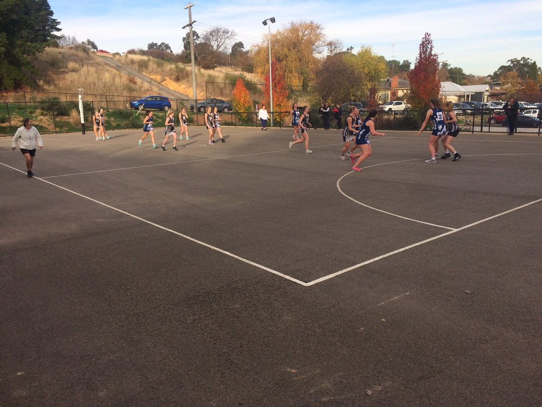 Thomson Hay Landscape Architects - Clunes Netball Facility