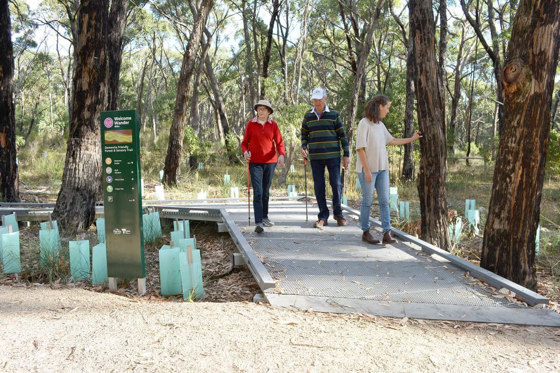 Thomson Hay Landscape Architects - Project - Woowookarung - Dementia Friendly Forest & Sensory Trail