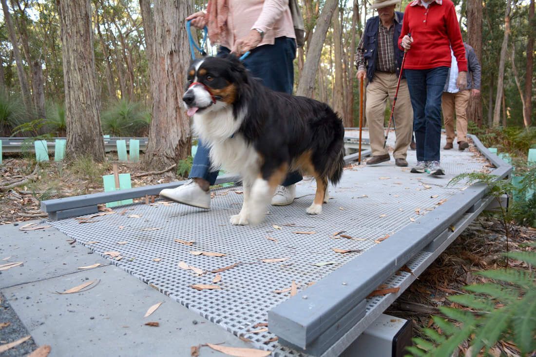 Thomson Hay Landscape Architects - Project - Woowookarung - Dementia Friendly Forest & Sensory Trail