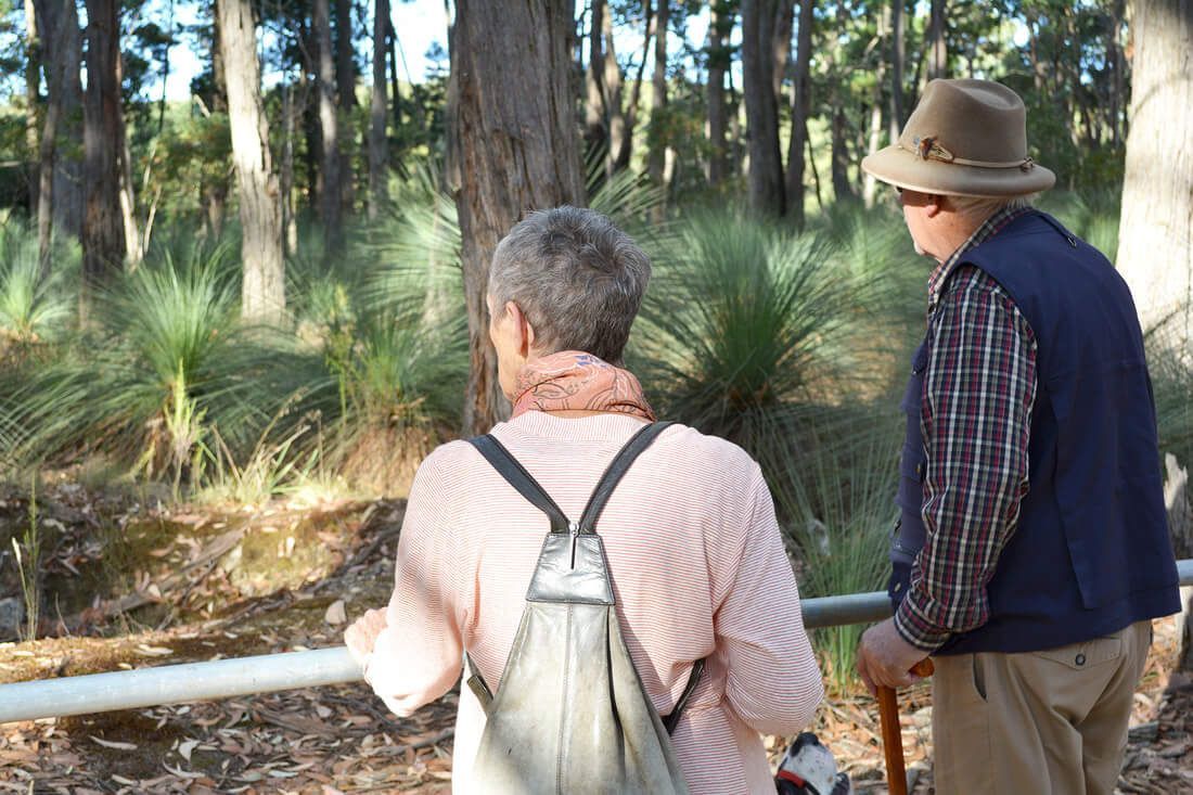 Thomson Hay Landscape Architects - Project - Woowookarung - Dementia Friendly Forest & Sensory Trail