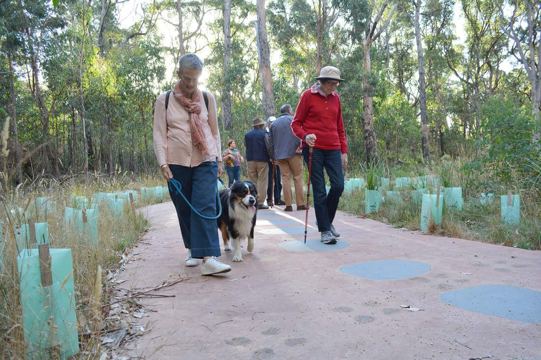 Thomson Hay Landscape Architects - Project - Woowookarung - Dementia Friendly Forest & Sensory Trail
