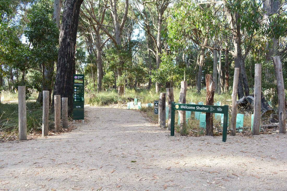 Thomson Hay Landscape Architects - Project - Woowookarung - Dementia Friendly Forest & Sensory Trail