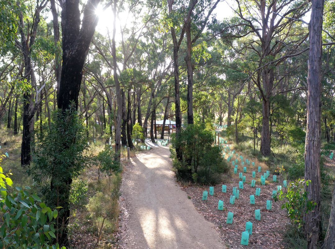 Woowookarung - 10,000 Steps & Dementia Friendly Forest & Sensory Trail