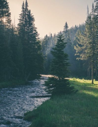 Lawrence Fullington, Jr.