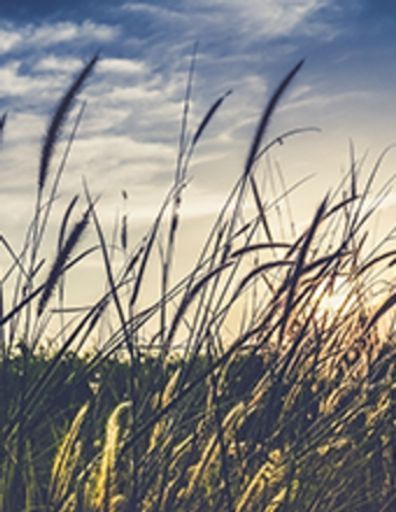 Ralph T. Hetherington