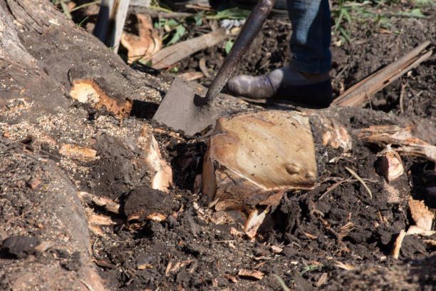 A person is digging a hole in the ground with a shovel.