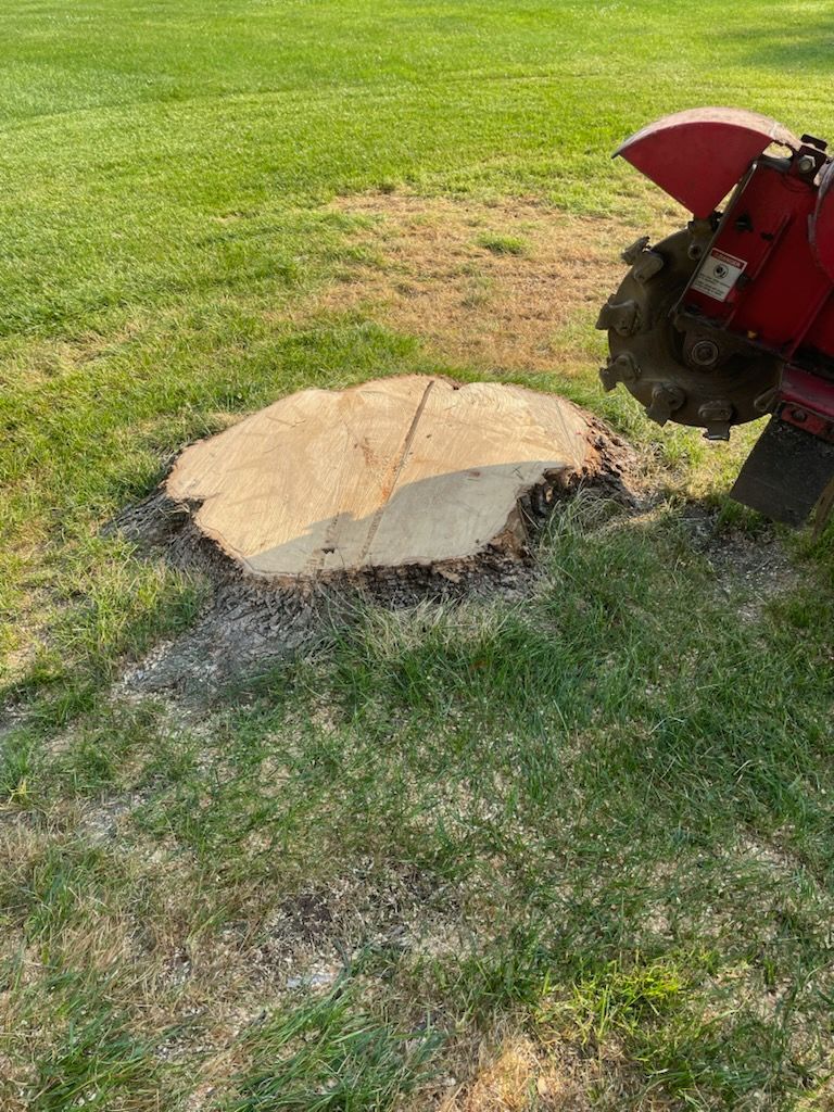 A yellow stump grinder is sitting in the grass next to a tree stump.