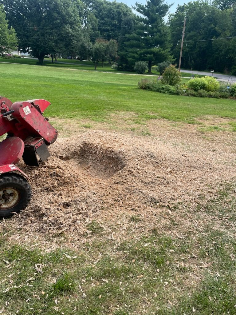 A stump grinder is cutting a tree stump in a yard.