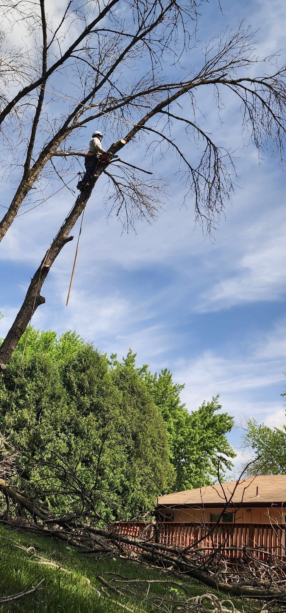 A lush green garden with a stone wall , stairs , and a bench.
