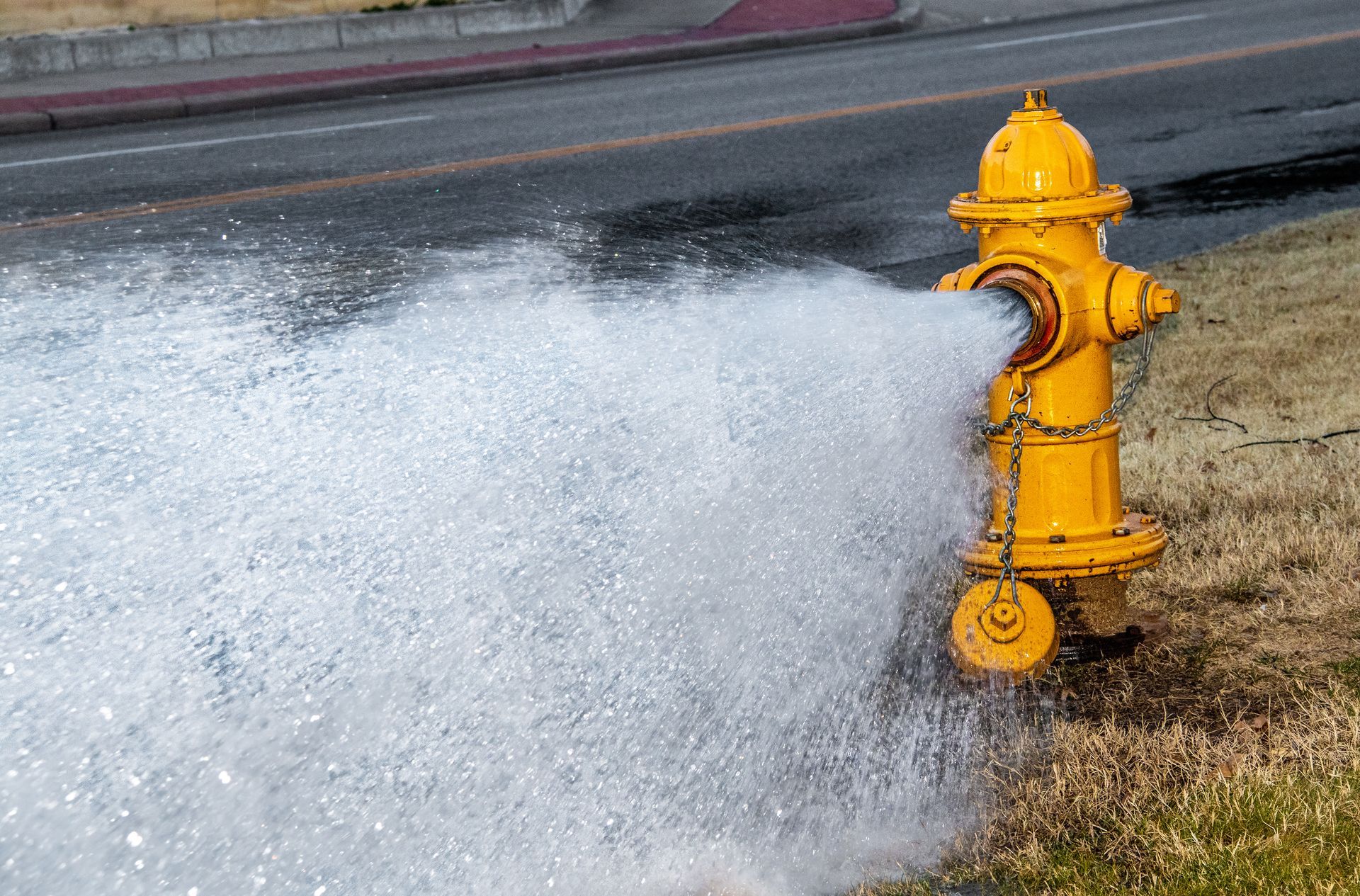Yellow fire hydrant releasing a strong stream of water onto the grass beside the road.
