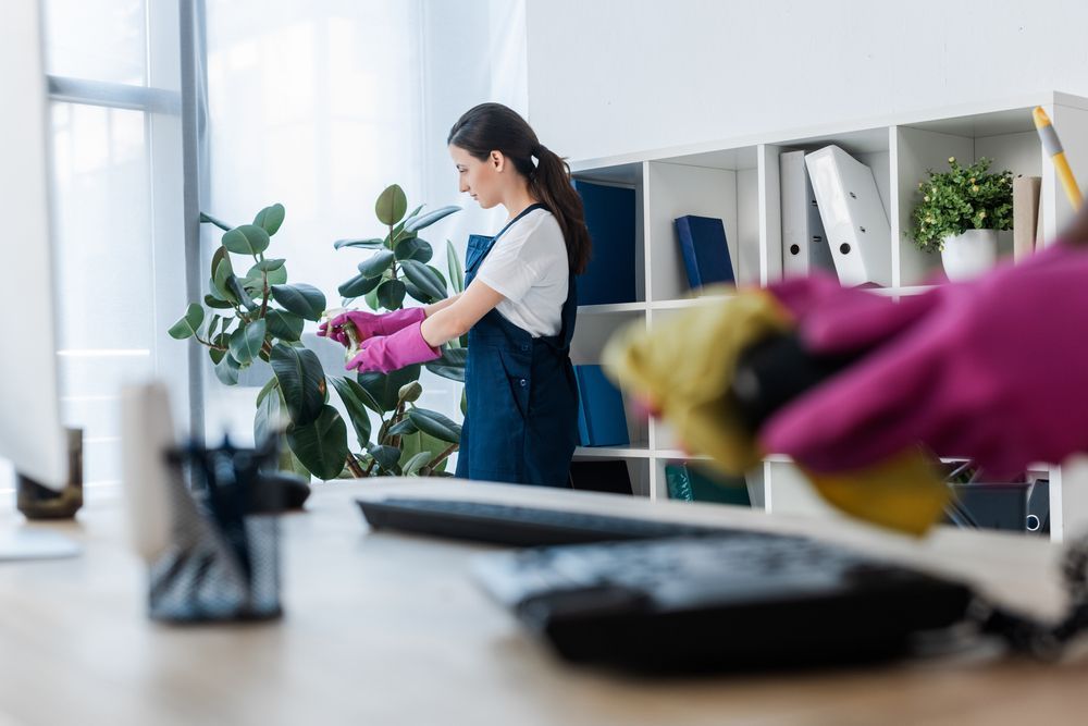 A woman is cleaning a desk in an office with a plant.