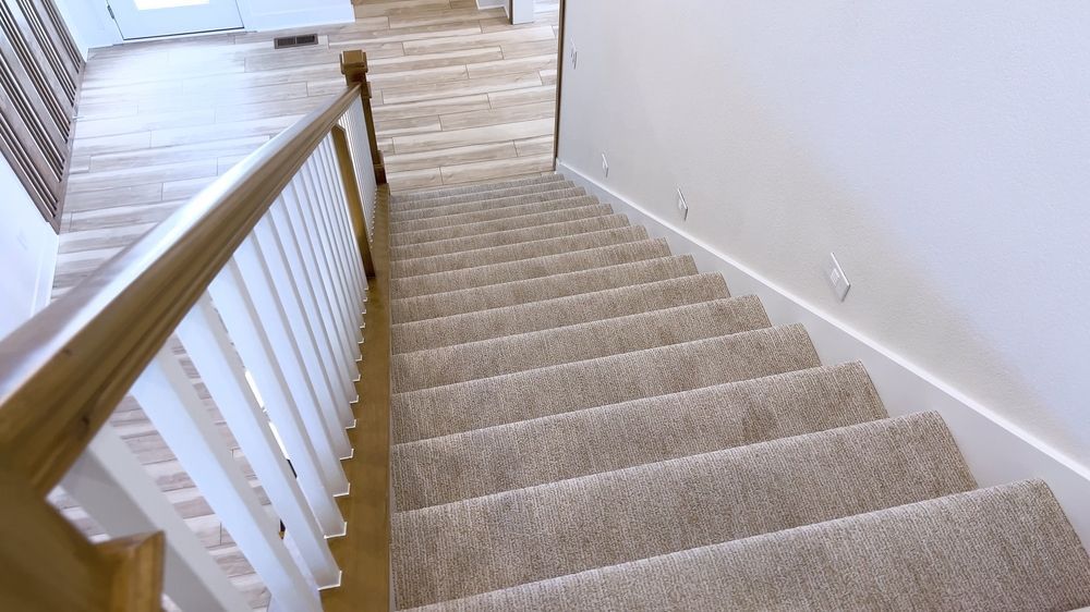 Staircase with carpeted steps, white railing, and wooden handrail leading down to a wood floor.